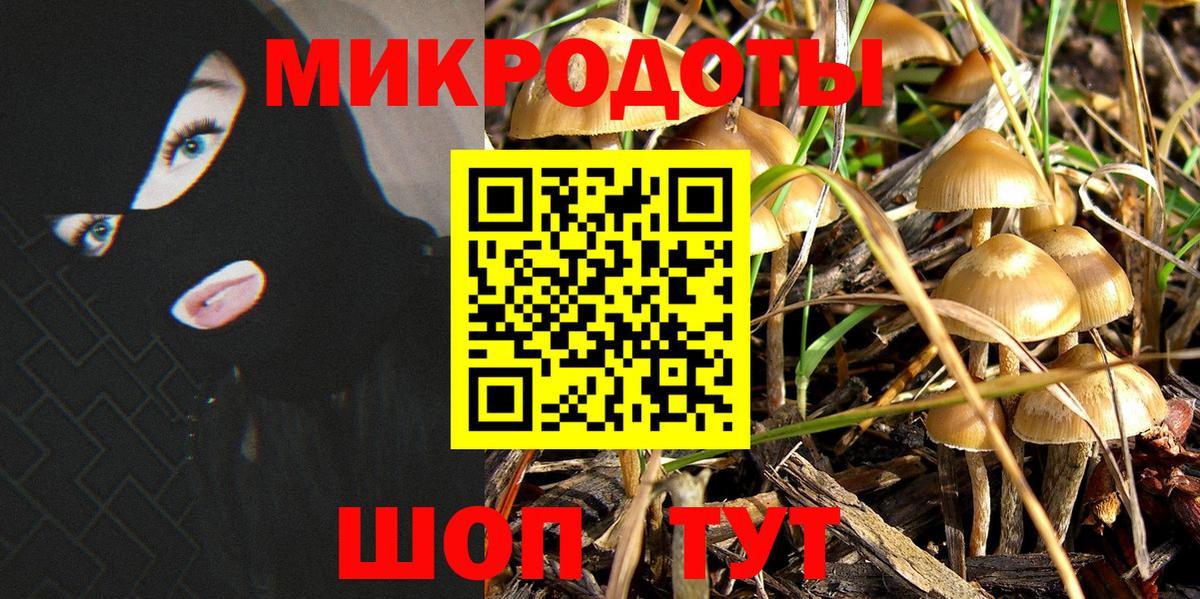 Великий Устюг  Псилоцибиновые грибы GOLDEN TEACHER  Вход с VPN 
