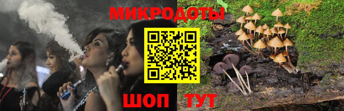 Псилоцибиновые грибы мицелий  Великий Устюг 